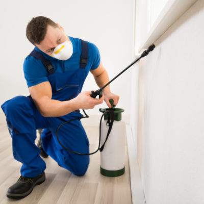 How to Start a Successful Pest Control Company