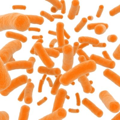 3 Things You Should Know Before Entering the Probiotic Market