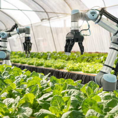 5 Technological Trends to Recognize in the Farming Sector